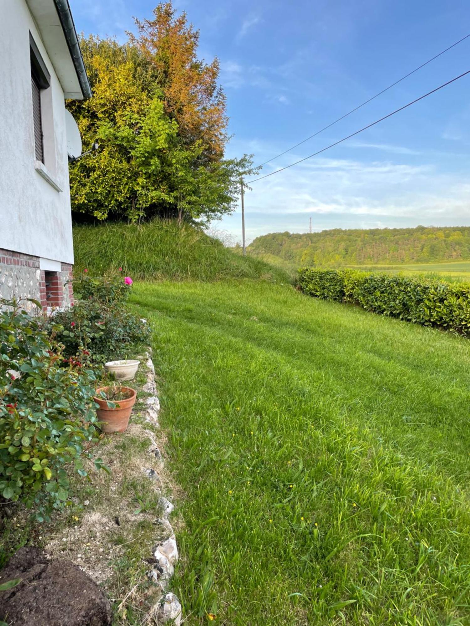 Maison Sur La Colline Saint-Martin-l'Hortier エクステリア 写真